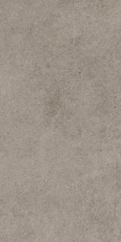 Керамогранит Forte dei Marmi Rock Lunar Grey 60x120