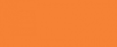 Городские цветы оранжевый матовый 20x50x0,8