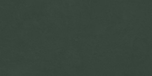 SR09 60x120x9 Непол.Рект. (Керамический гранит)