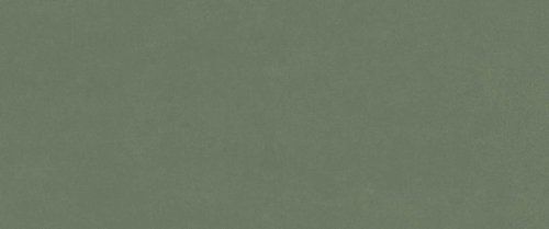 СЕР.ФОРЕСТ ГРИН 50X120 РЕТ