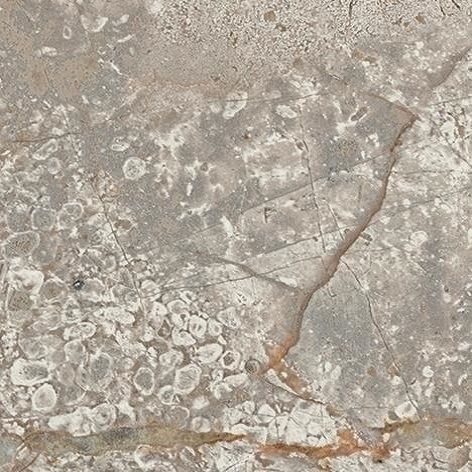 Empire Silver Root Bottone Lap 7,2x7,2