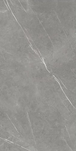 Forte Dei Marmi Elegant Grey Mat Rett  80×160