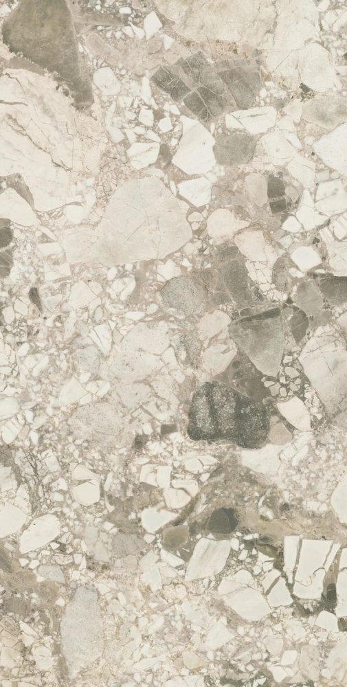 Forte Dei Marmi Ceppo Apuano Cream Mat  80×160