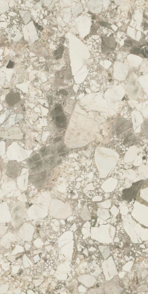 Forte Dei Marmi Ceppo Apuano Cream Lapp  80×160