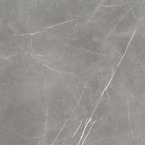 Forte Dei Marmi Elegant Grey Mat Rett  80×80