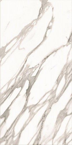 Calacatta Champagne LLR 60x120