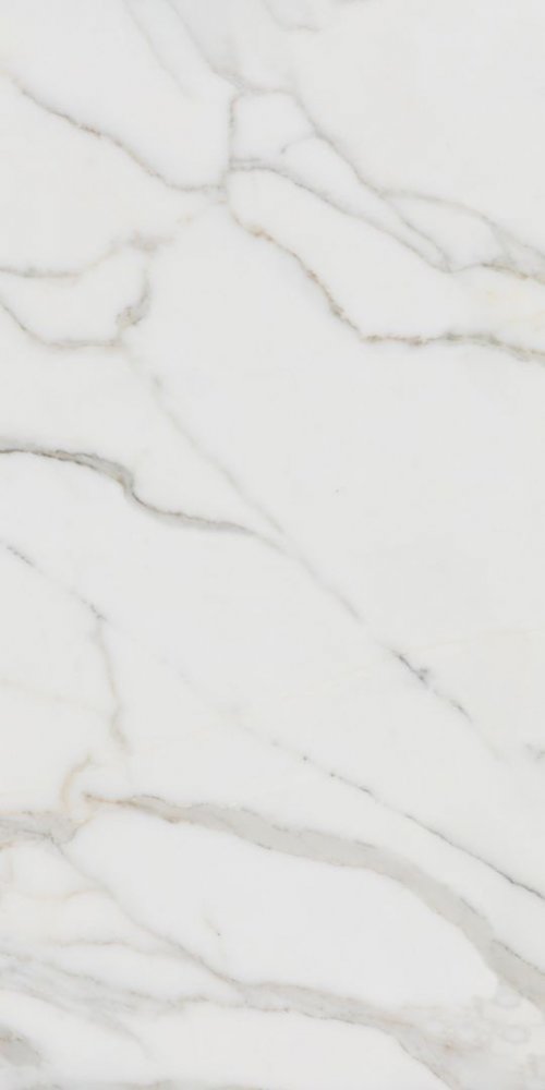 Pallisandro Grigio LLR 60x120