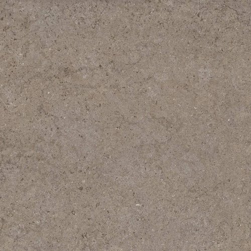 Discover Desert  60×60