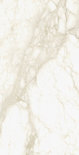 Eternum Carrara  80×160