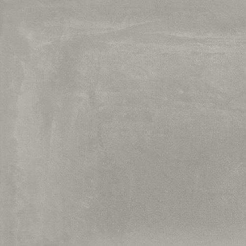 Terraviva Grey 60х60