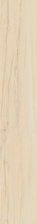 Alleya Beige SR 20x120