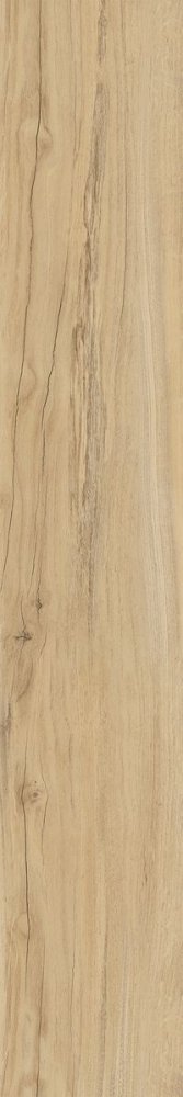 Alleya Honey SR 10mm  20×120