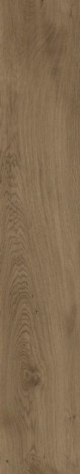 Dubrava Brown SR 20x120