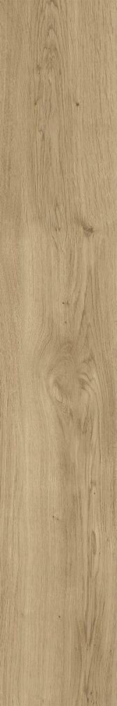 Dubrava Beige SR 10mm  20×120
