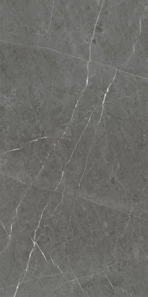 Skala Dark Grey LR 60×120