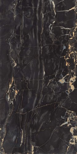 Massimo Portoro Polished  80×160