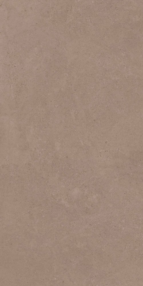 GO01 60x120x10 Непол.Рект. (Керамический гранит)